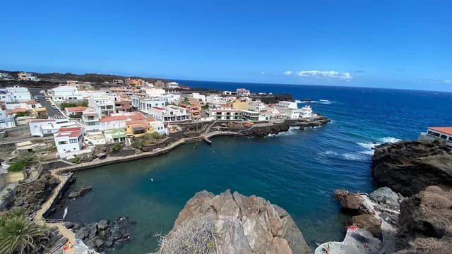 Tamaduste