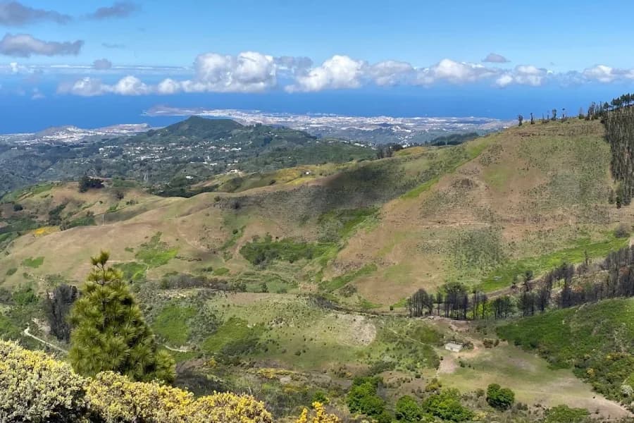 Mirador de Pinos de Gáldar