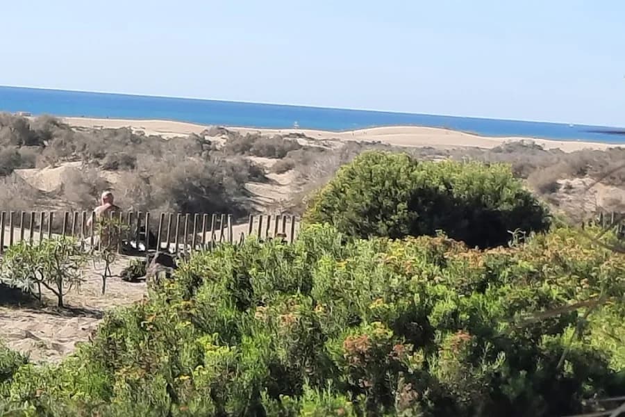 Mirador de las Dunas