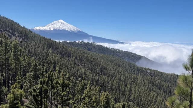Mirador Montaña Limón