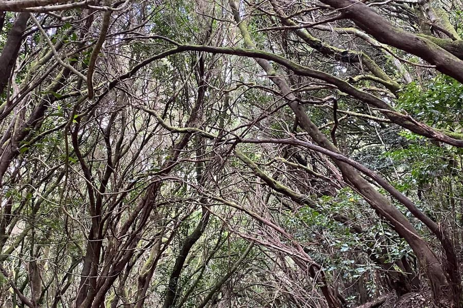 Llano de Los Viejos Recreational areas