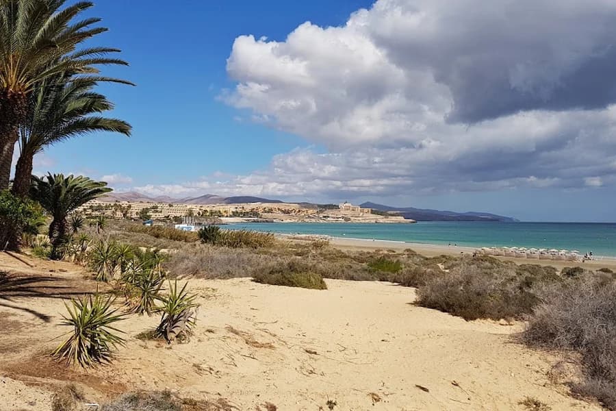 Playa del Matorral