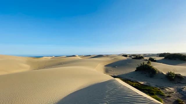 Dunas de Maspalomas