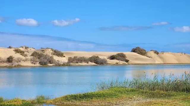 La Charca de Maspalomas