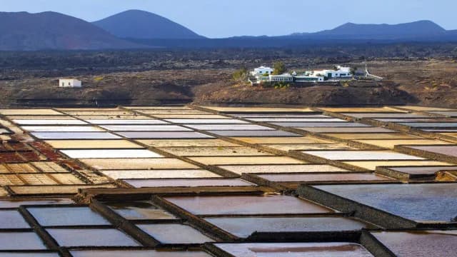Salinas de Janubio