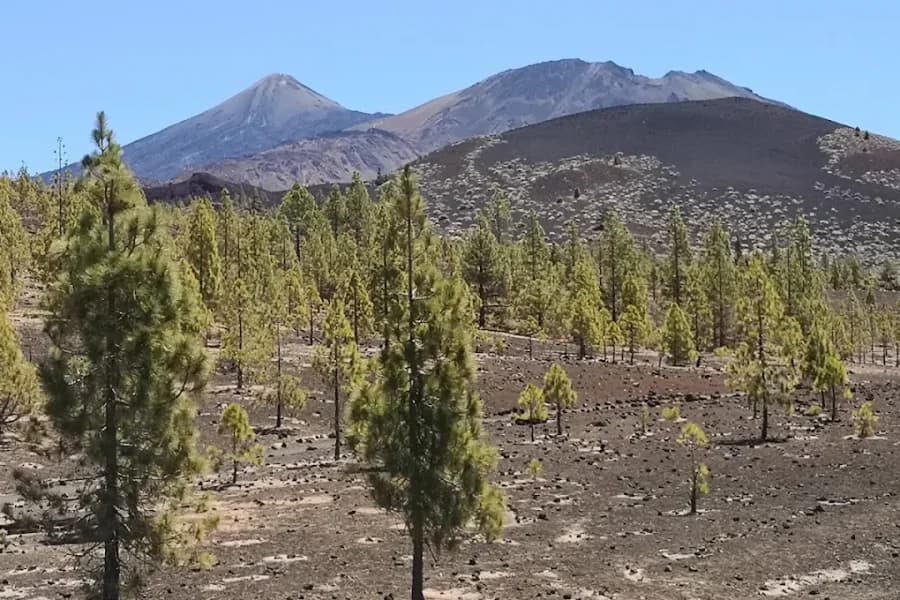 Parque Natural Corona Forestal