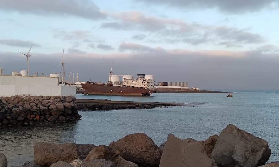 Barco Telamón