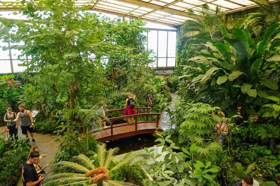 Mariposario del Drago