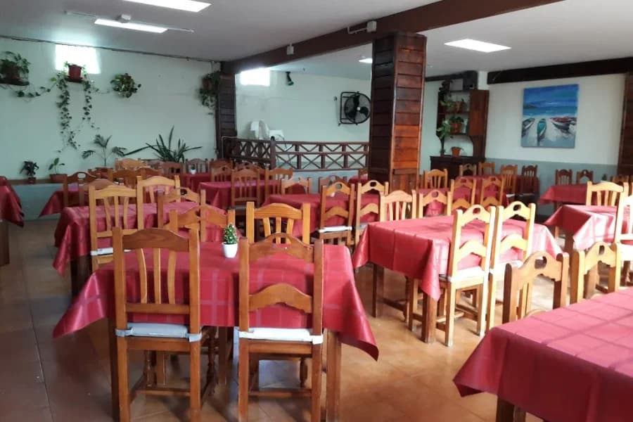 Bar Palenke