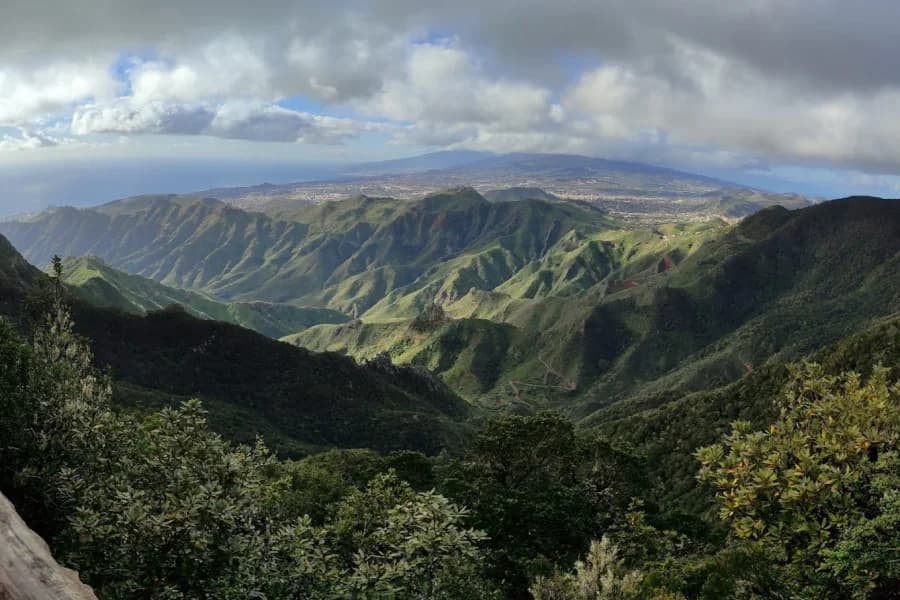 El Bosque de Los Enigmas