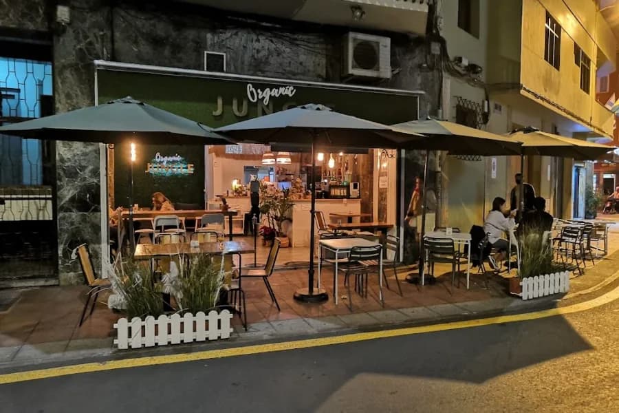 Organic Jungle Brunch and specialty coffee