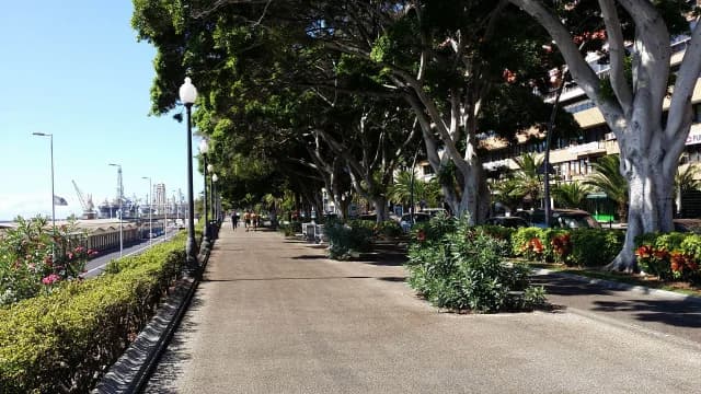 Avenida De Anaga