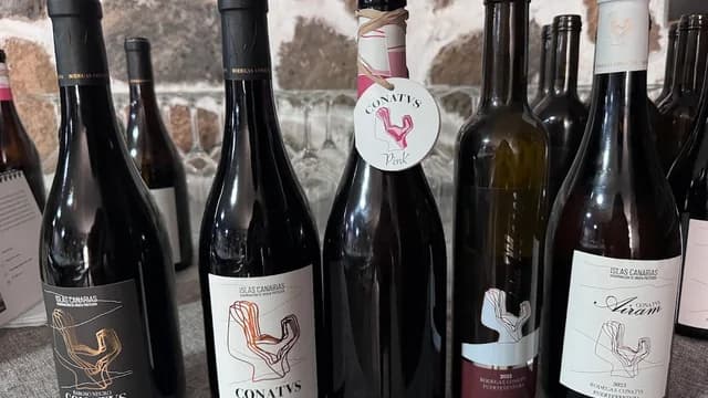 Bodegas Conatvs