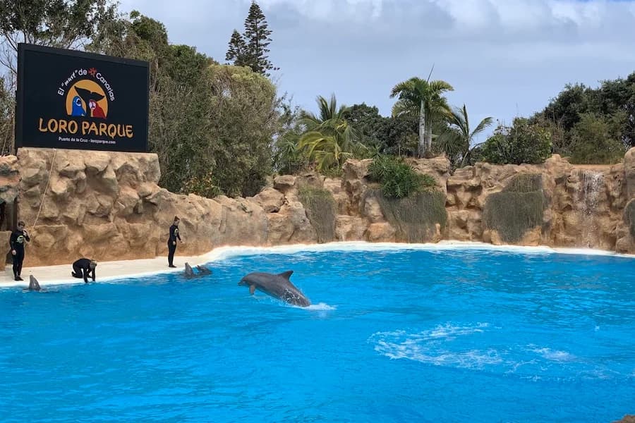 Dolphinarium