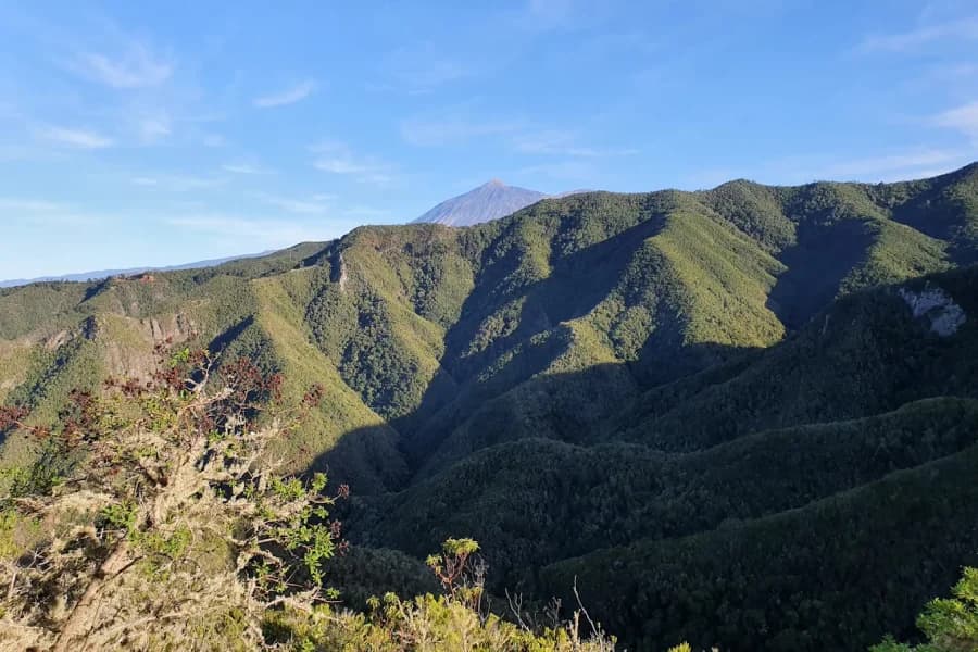 Monte del Agua