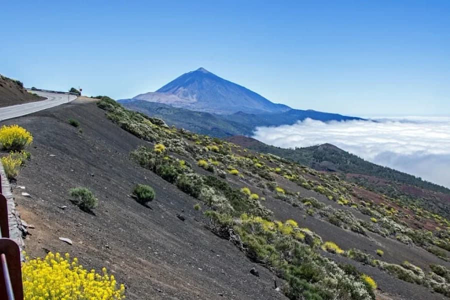Mirador de el Roque de Caramujo