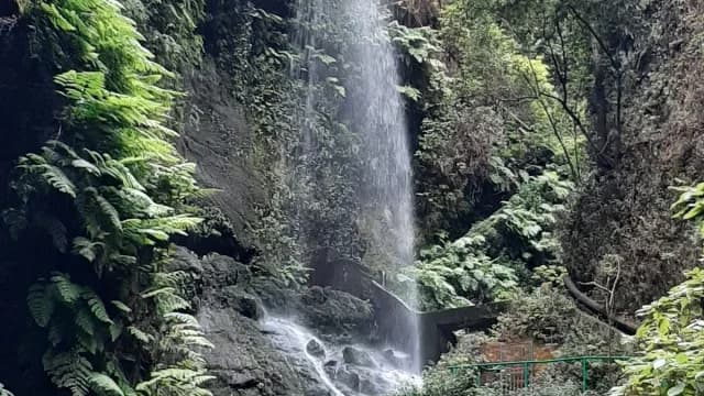 Cascada De Los Tilos