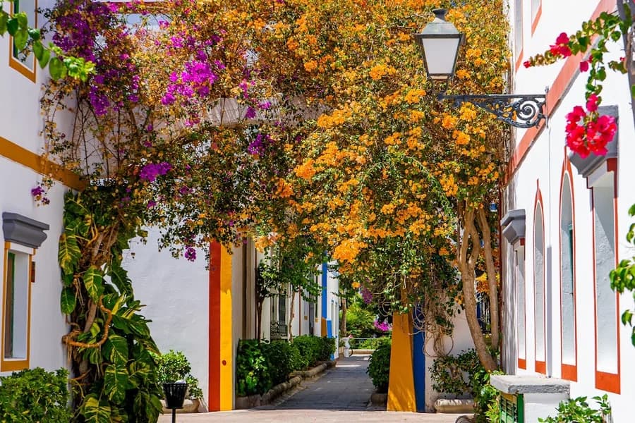 Puerto de Mogán