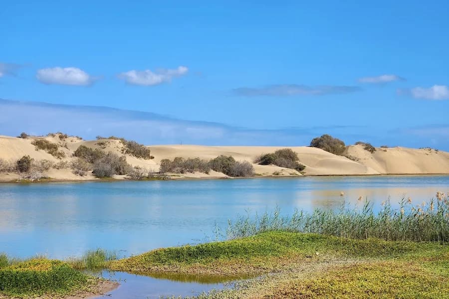 La Charca de Maspalomas