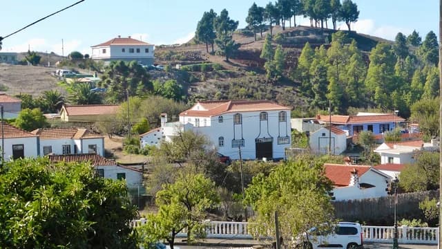 Mercadillo del Agricultor de Puntagorda