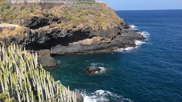 Puerto Trigo ?️
