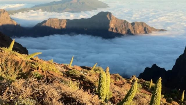 Parque Nacional de la Caldera de Taburiente