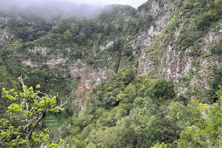 Chorros del Cedro