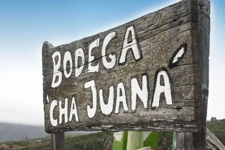 Bodega Cha Juana