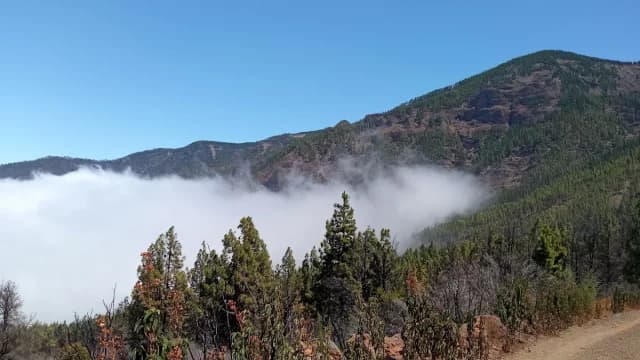 Sendero La Caldera-Aguamansa