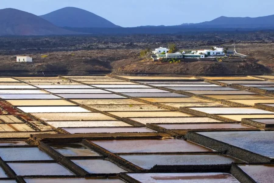 Salinas de Janubio