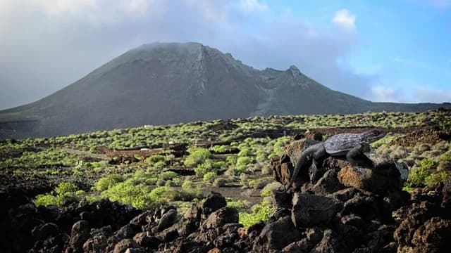 Monumento natural de La Corona