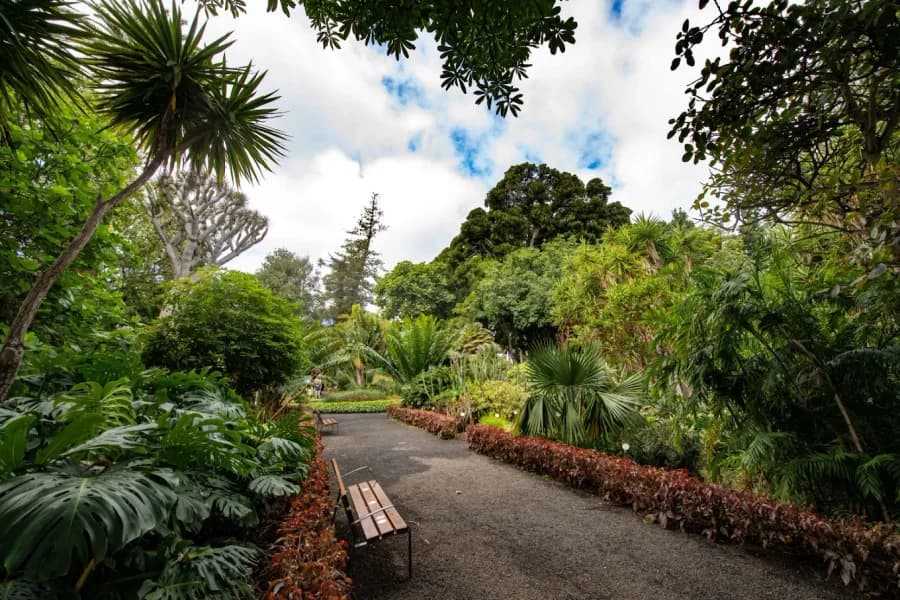 Jardín Botánico
