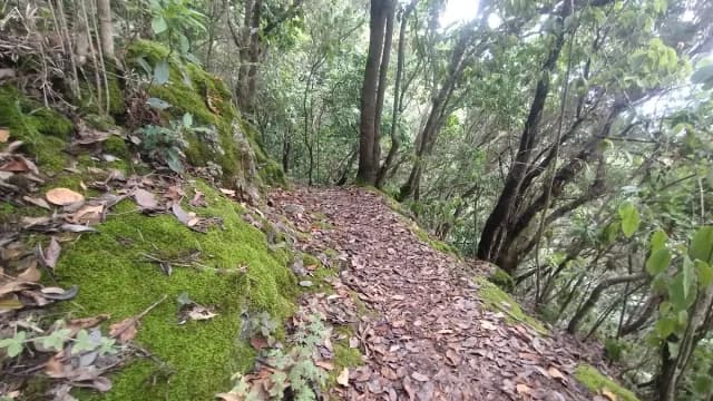 Sendero de Los placeres a Chanajiga