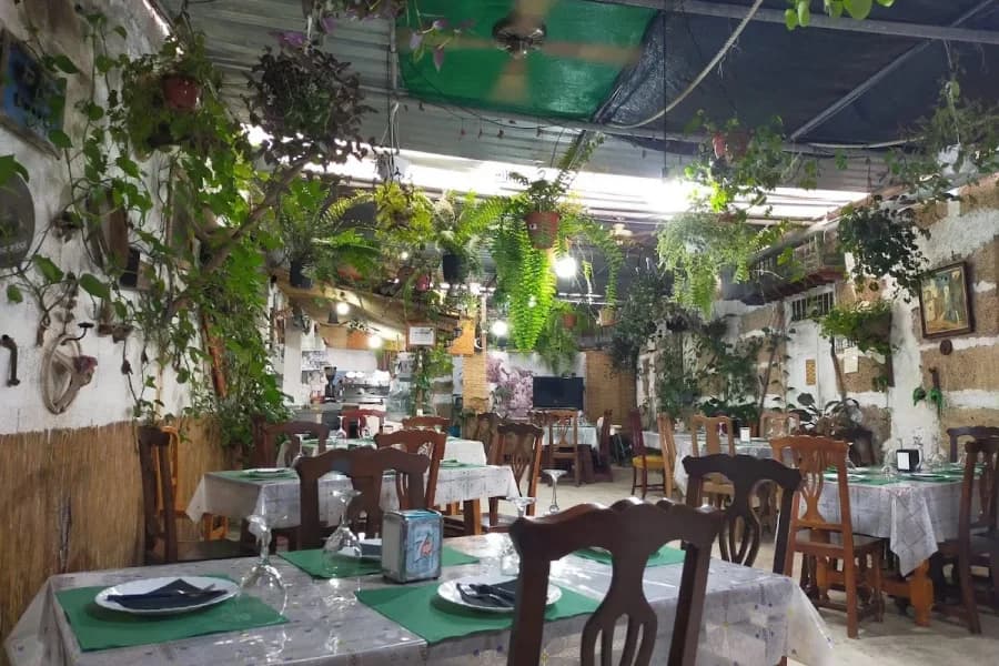 Bodega el lomito