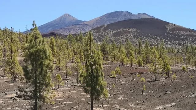 Parque Natural Corona Forestal