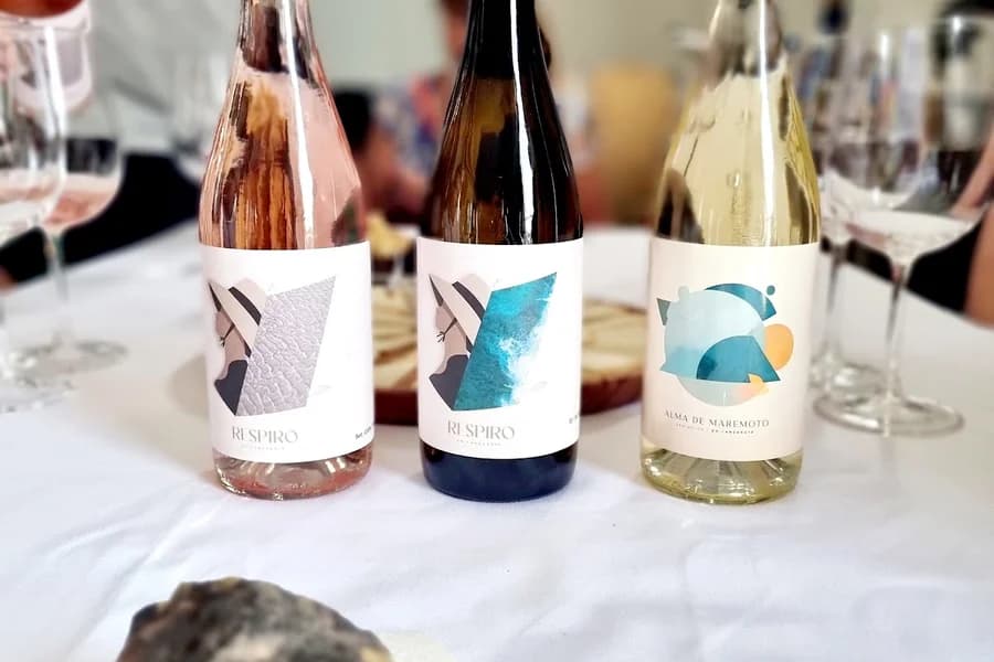 Bodega Olivina