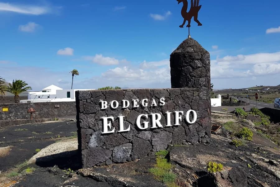 Museo del Vino EL GRIFO