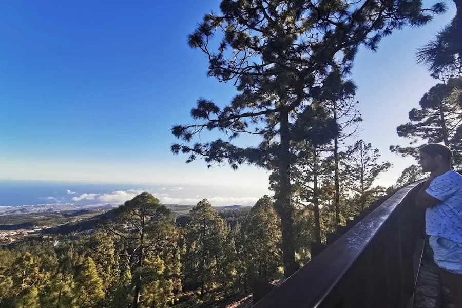 Mirador de Vilaflor