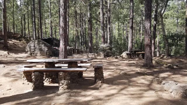 Area Recreativa El Lagar