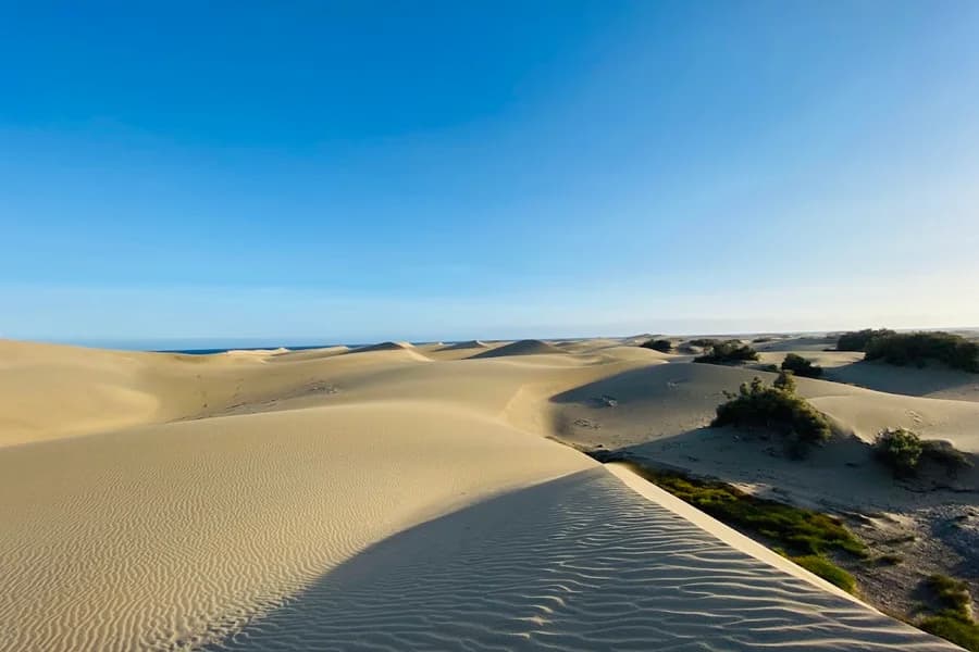Dunas de Maspalomas