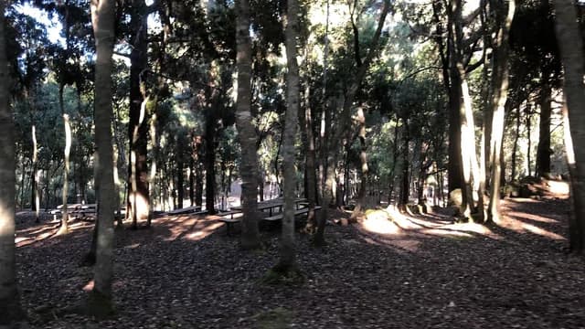 La Tahoma Recreational areas