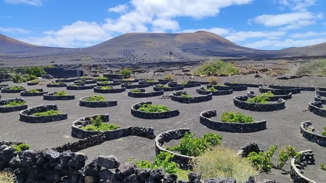 La Geria