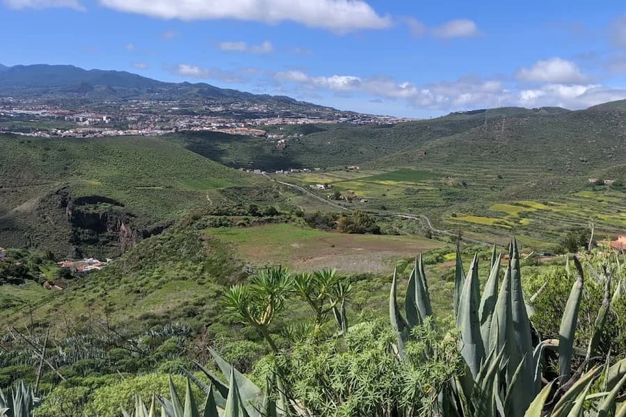 Parque de Las Mesas