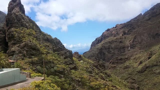 Masca