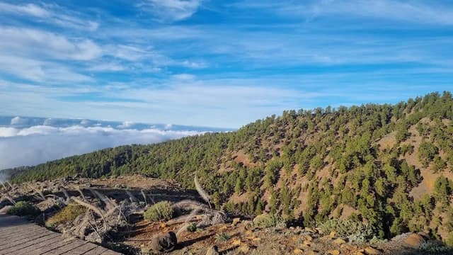 Llano de Las Ánimas