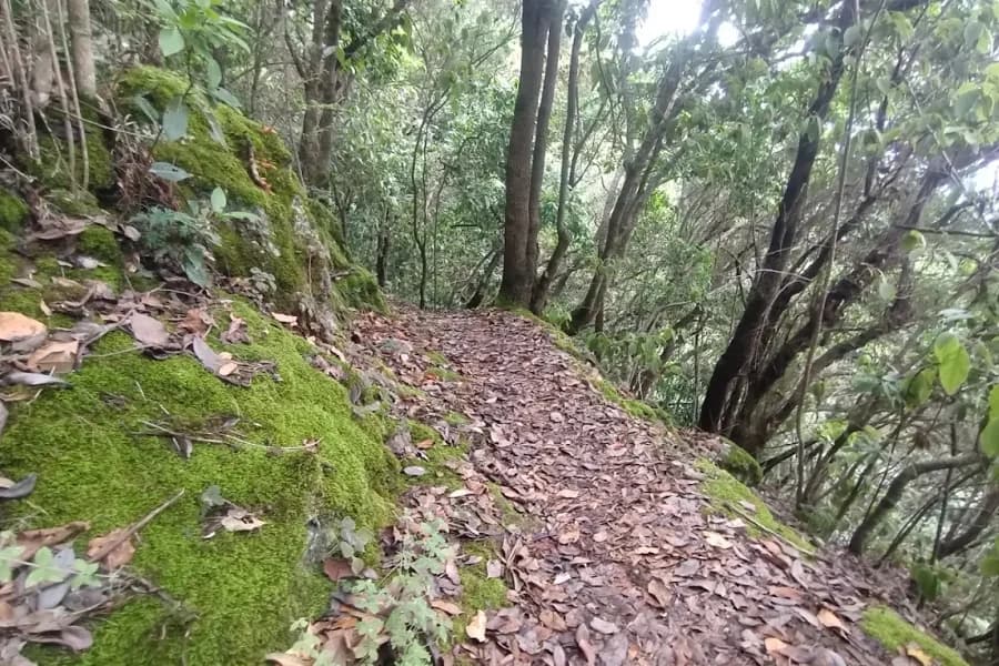 Sendero de Los placeres a Chanajiga