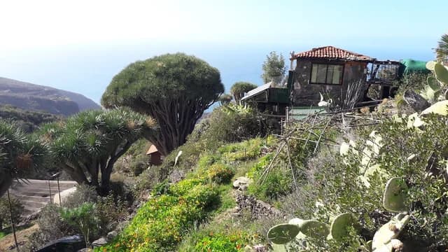 Cuevas de Buracas