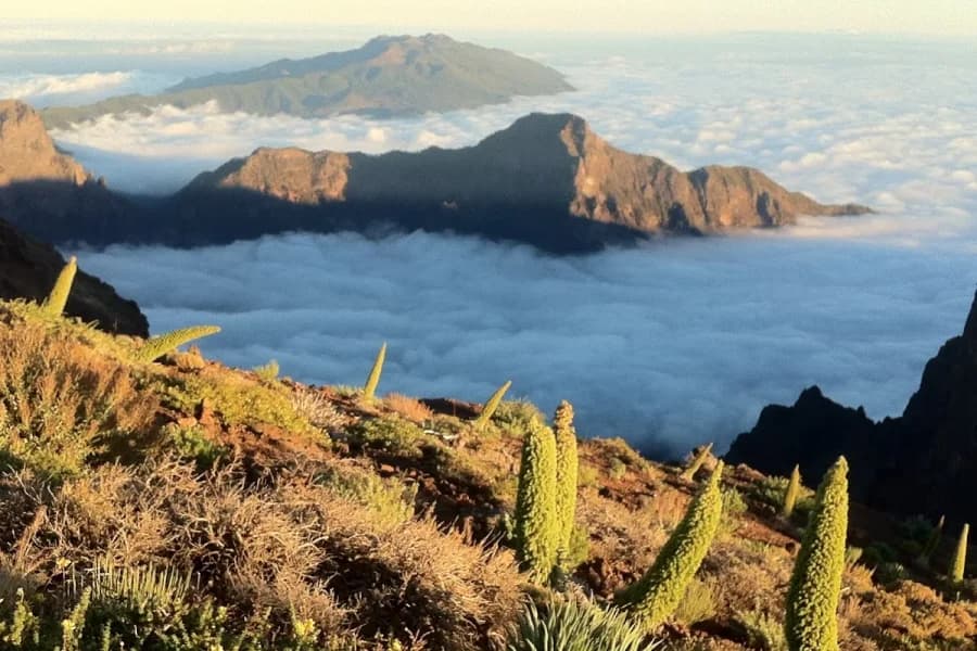 Parque Nacional de la Caldera de Taburiente