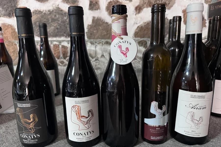 Bodegas Conatvs