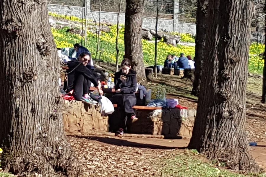 Área Recreativa de la Laguna de Valleseco